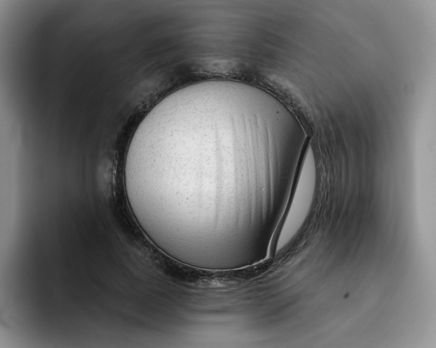 X0000091720739200709141205