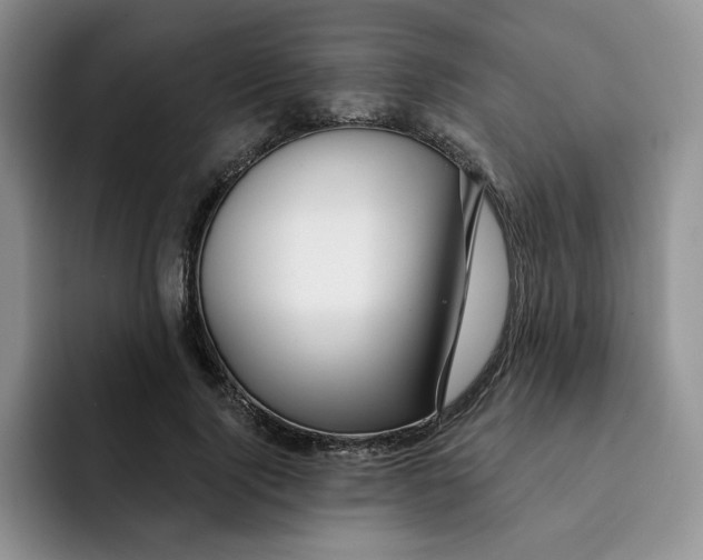 X0000091720740200709141205