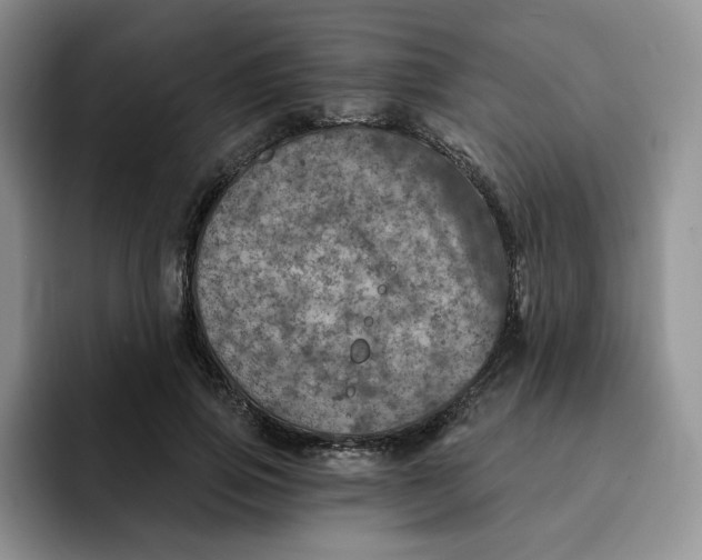 X0000091720741200709141205