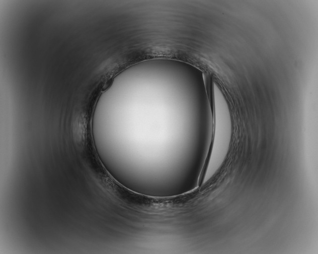 X0000091720744200709141205