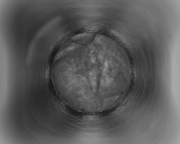 X0000091720745200709141205