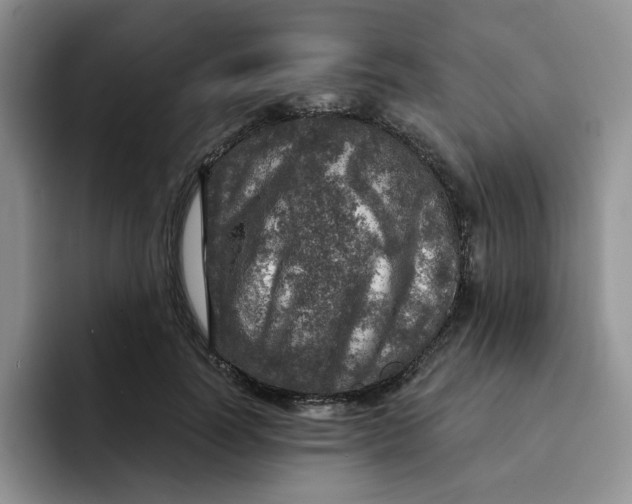 X0000091720746200709141205