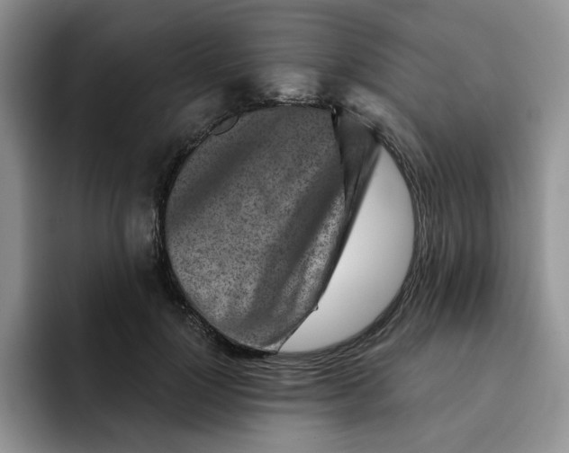 X0000091720748200709141205