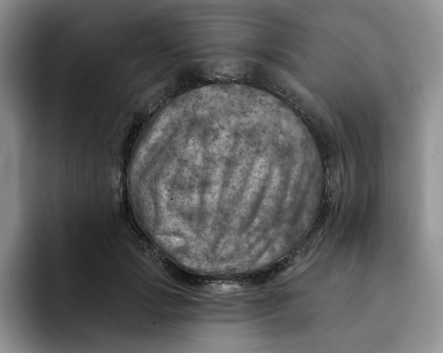 X0000091720749200709141205