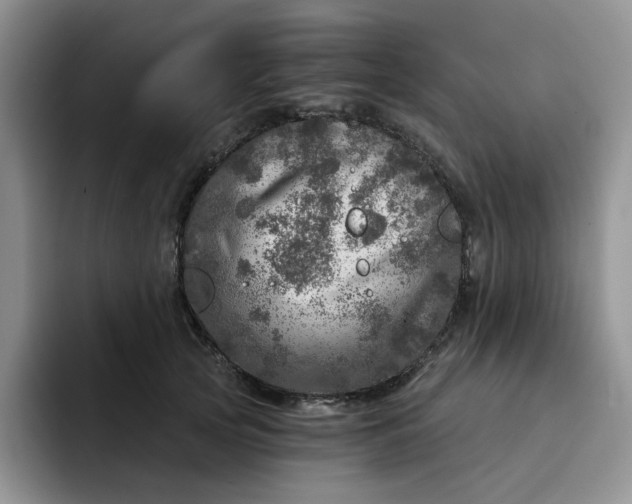 X0000091720753200709141205