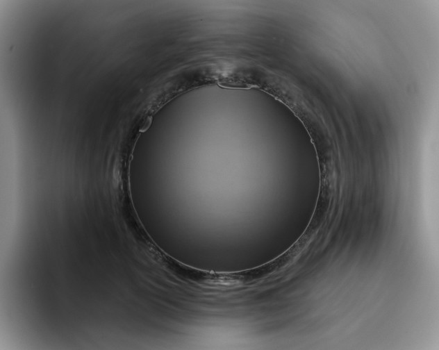 X0000091720754200709141205