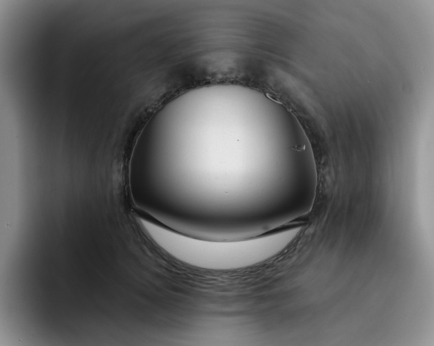 X0000091720756200709141205