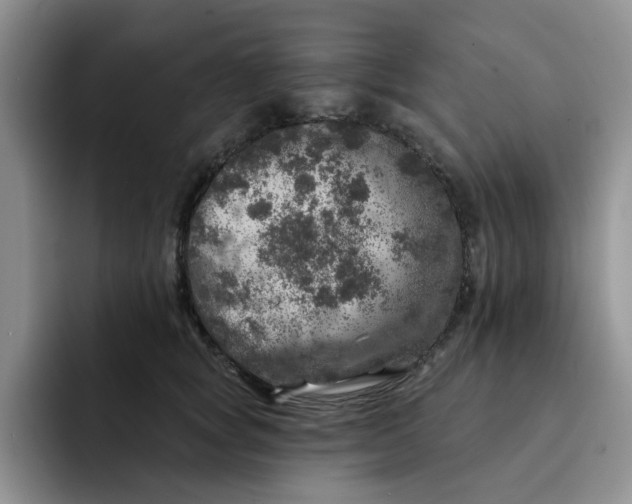 X0000091720757200709141205