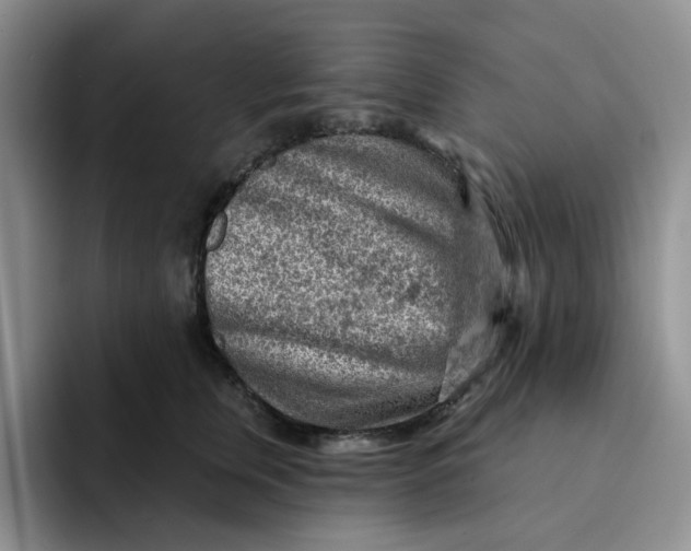 X0000091720759200709141205