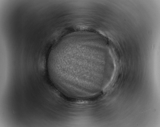 X0000091720760200709141205