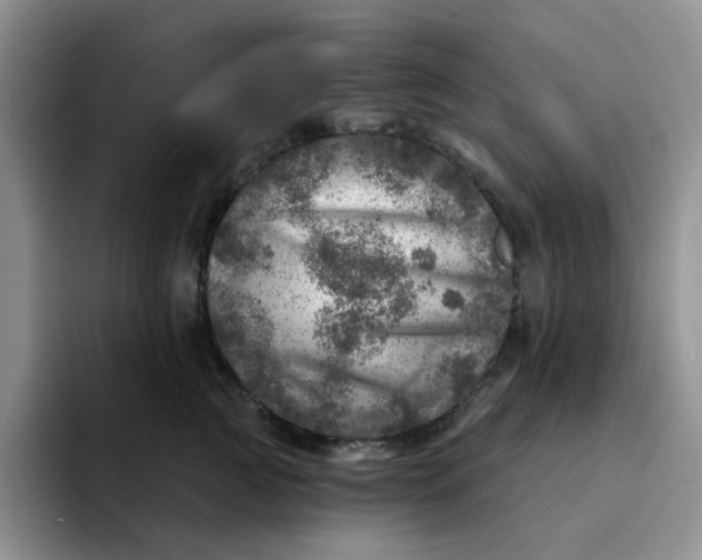 X0000091720761200709141205