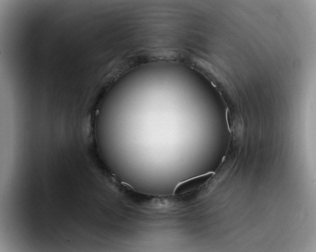 X0000091720764200709141205