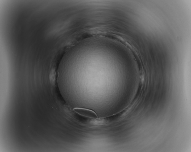 X0000091720767200709141205