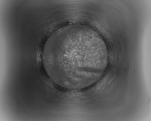 X0000091720770200709141205