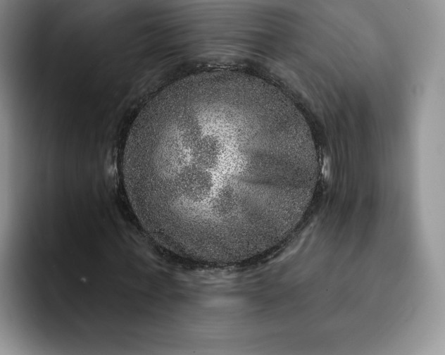 X0000091720771200709141205