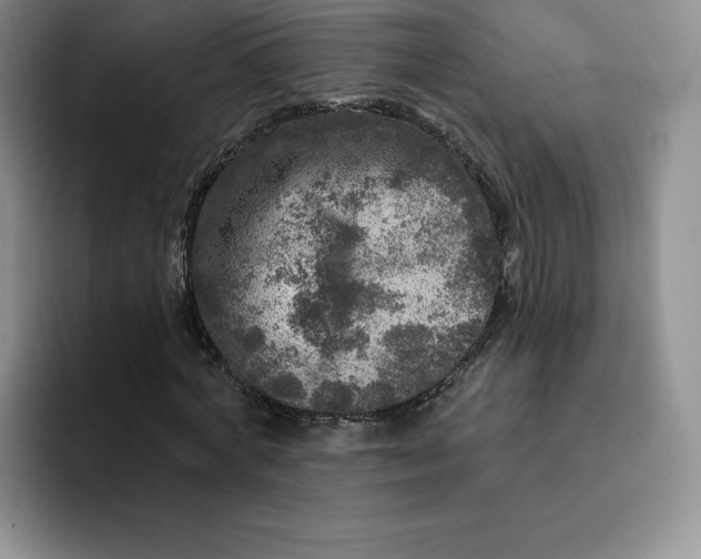 X0000091720772200709141205