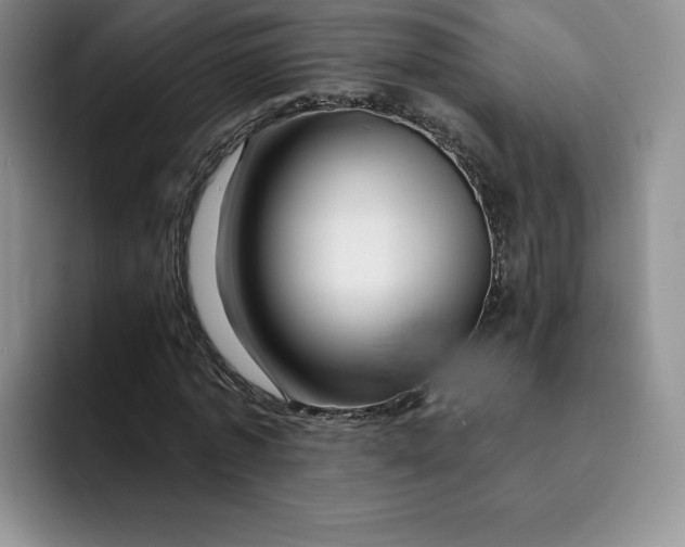 X0000091720773200709141205