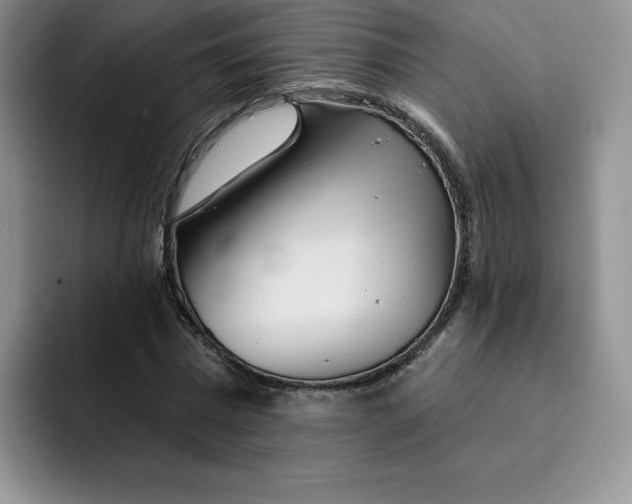 X0000091720777200709141204