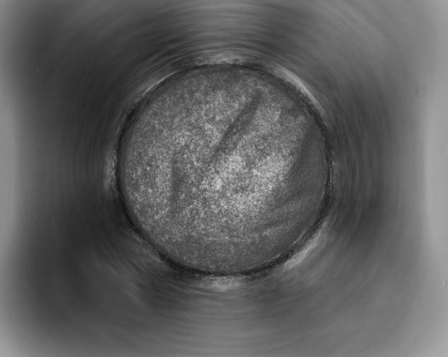 X0000091720778200709141204