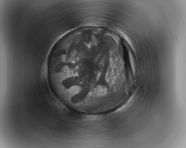 X0000091720779200709141204