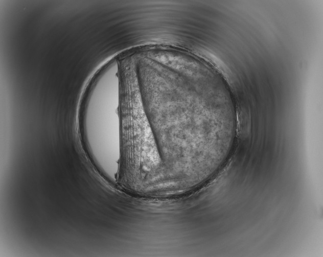 X0000091720780200709141204