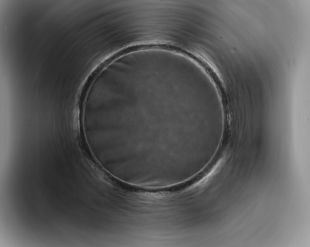 X0000091720781200709141204