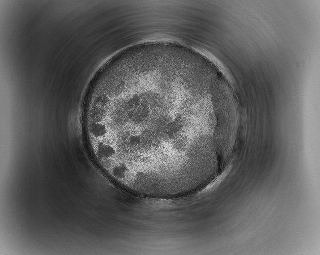 X0000091720783200709141204