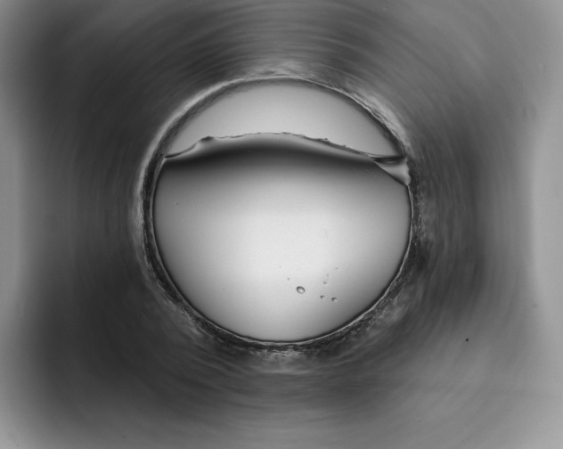 X0000091720784200709141204