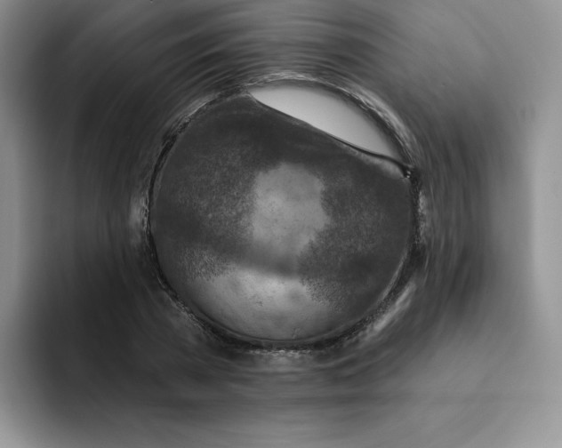 X0000091720785200709141204