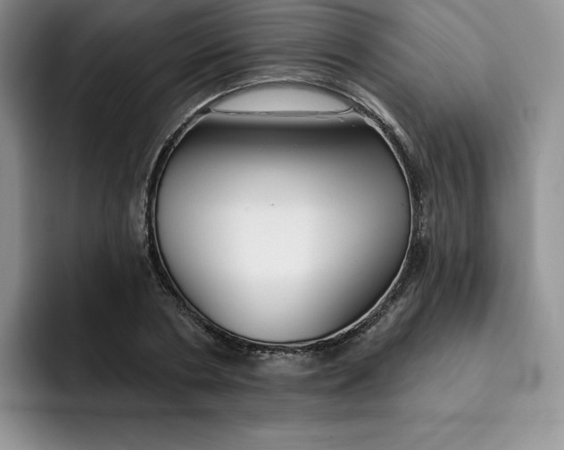 X0000091720786200709141204