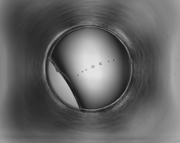 X0000091720788200709141204