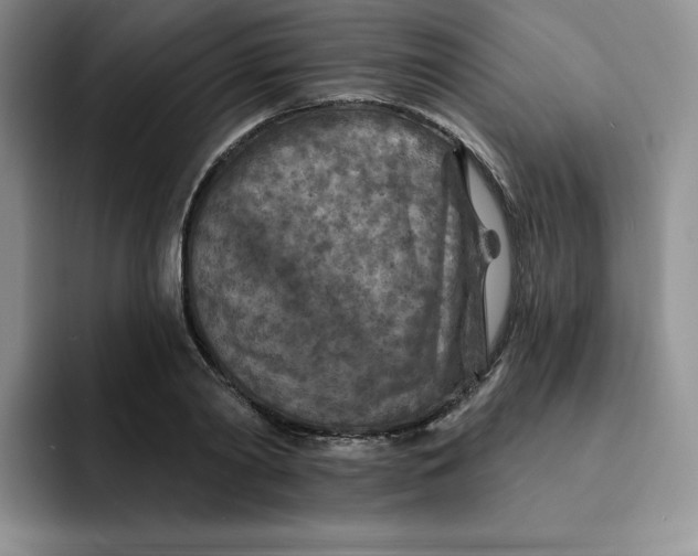 X0000091720790200709141204