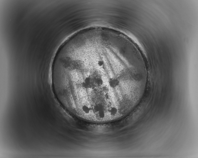 X0000091720791200709141204