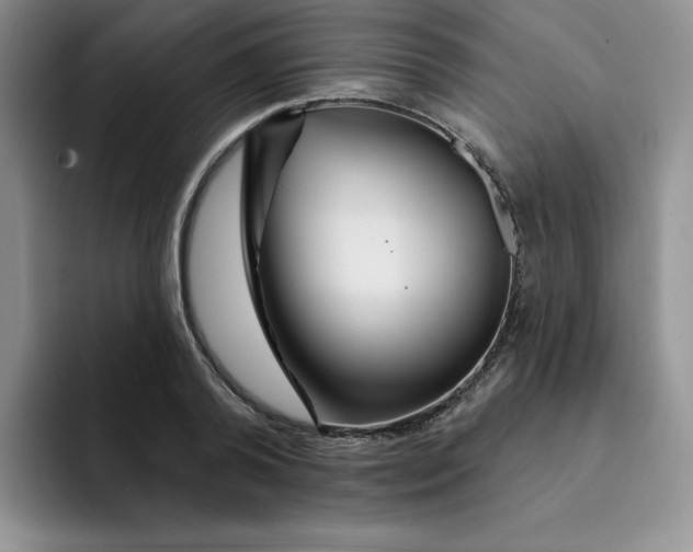 X0000091720792200709141204