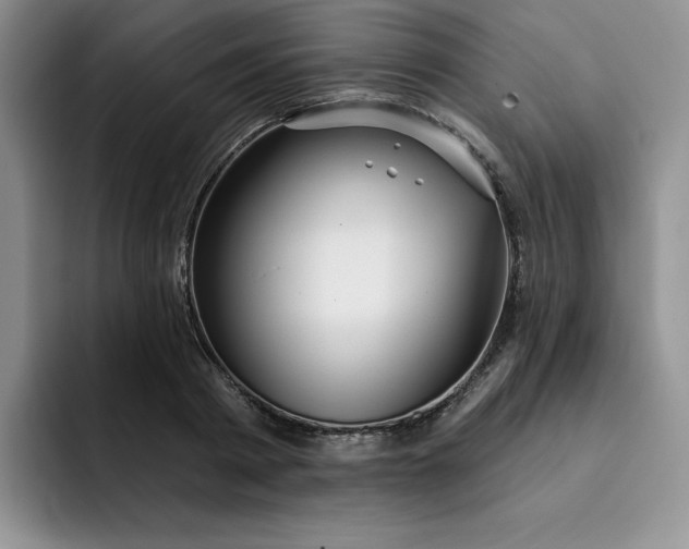 X0000091720793200709141204