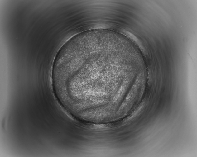 X0000091720794200709141204