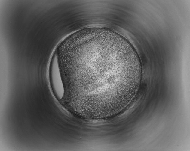 X0000091720795200709141204