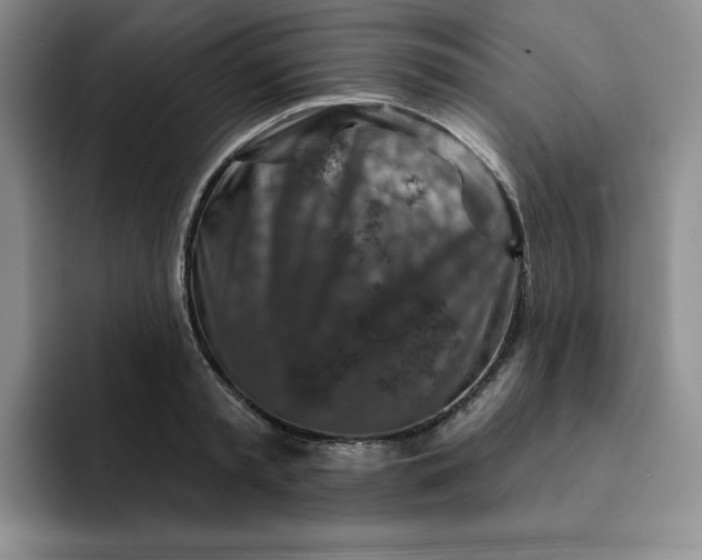 X0000091720797200709141204