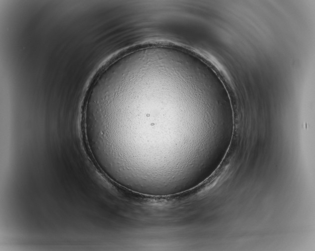 X0000091720799200709141204