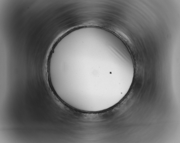 X0000091720800200709141204