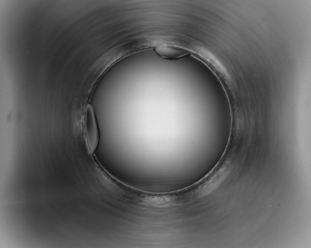 X0000091720801200709141204