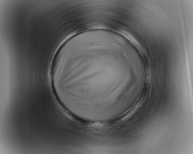 X0000091720806200709141204