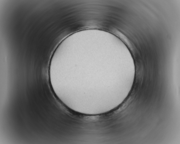 X0000091720810200709141204