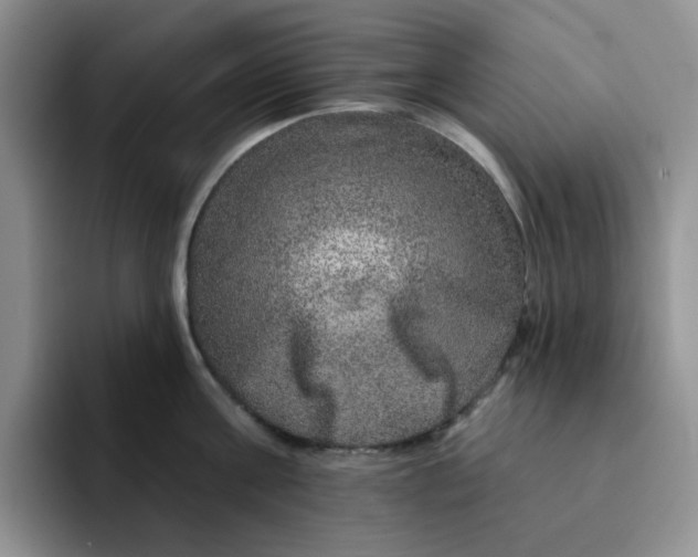 X0000091720811200709141204