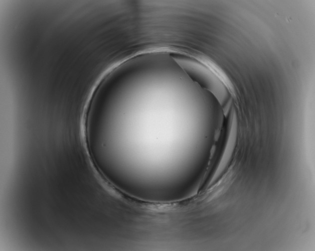 X0000091720813200709141204