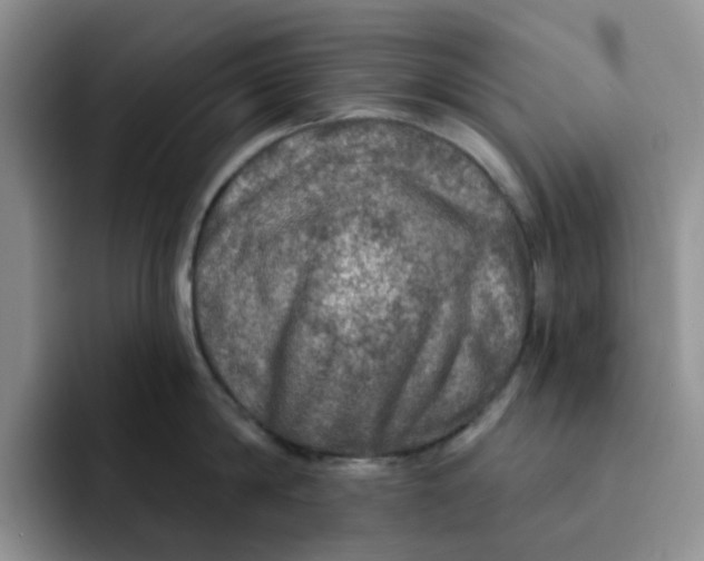 X0000091720814200709141204