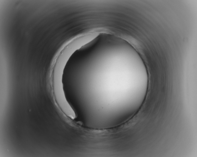 X0000091720816200709141204