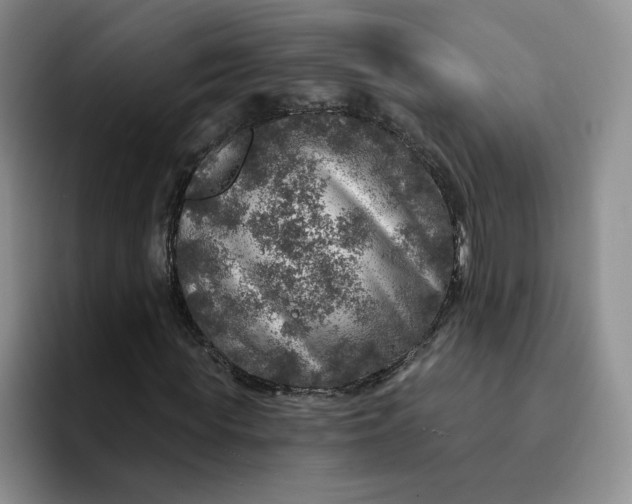 X0000091720819200709141203