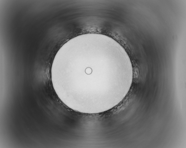 X0000091720820200709141203