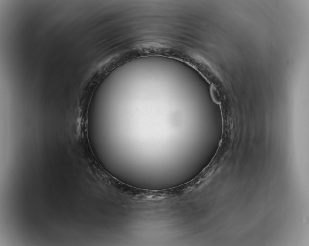 X0000091720822200709141203